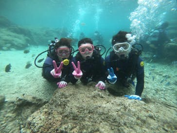 武藤潜水に投稿された画像（2022/4/1）