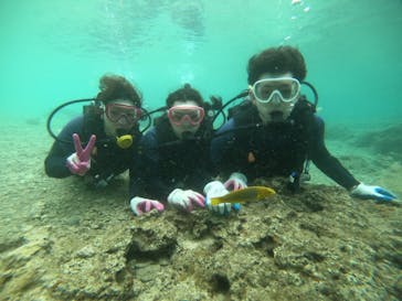 武藤潜水に投稿された画像（2022/4/1）