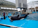 名古屋港水族館に投稿された画像（2022/4/1）
