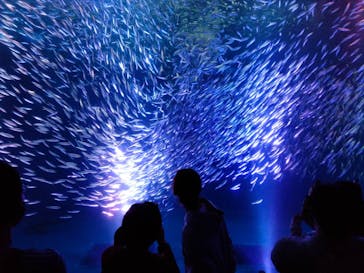 名古屋港水族館に投稿された画像（2022/4/1）