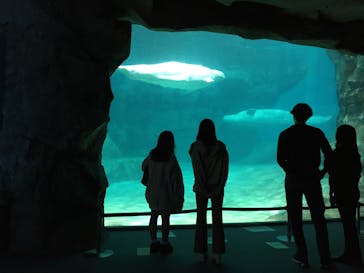 名古屋港水族館に投稿された画像（2022/4/1）