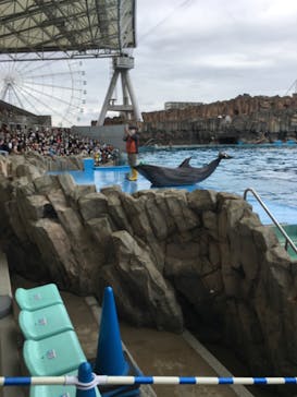 名古屋港水族館に投稿された画像（2022/4/1）