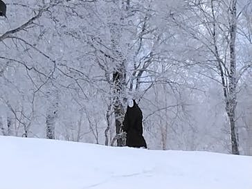 野沢温泉スキー場に投稿された画像（2022/4/1）