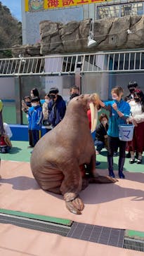 ゼロ距離水族館 伊勢シーパラダイスに投稿された画像（2022/4/1）