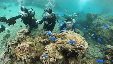 DIVING-SHOP SUNSに投稿された画像（2022/4/1）