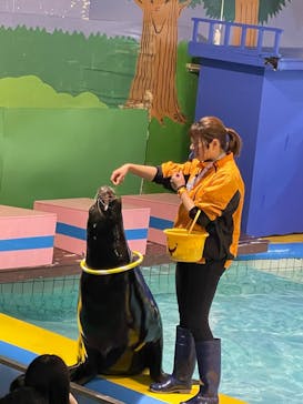 ゼロ距離水族館 伊勢シーパラダイスに投稿された画像（2022/4/1）