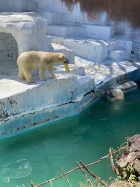 天王寺動物園に投稿された画像（2022/4/1）