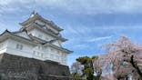 小田原城に投稿された画像（2022/4/1）