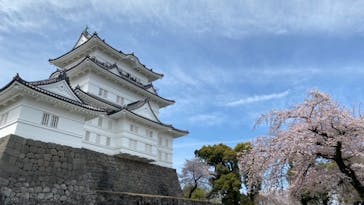 小田原城に投稿された画像（2022/4/1）