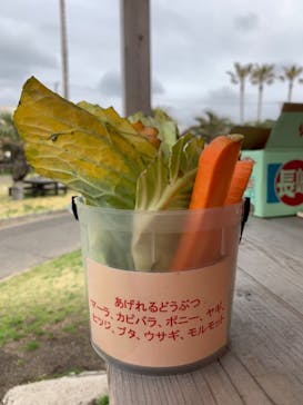 アロハガーデンたてやまに投稿された画像（2022/4/1）