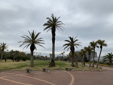 アロハガーデンたてやまに投稿された画像（2022/4/1）