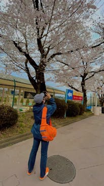 東京サマーランドに投稿された画像（2022/4/1）