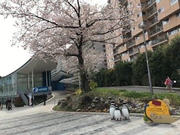 しながわ水族館に投稿された画像（2022/4/1）