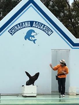 しながわ水族館に投稿された画像（2022/4/1）