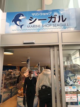 しながわ水族館に投稿された画像（2022/4/1）