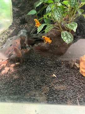 カワスイ 川崎⽔族館に投稿された画像（2022/4/1）