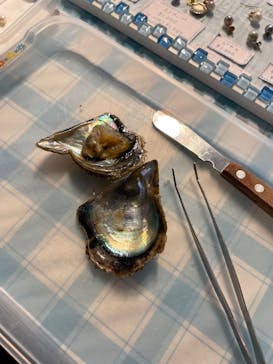 しながわ水族館に投稿された画像（2022/4/1）