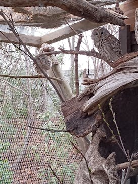 環境水族館アクアマリンふくしまに投稿された画像（2022/4/1）