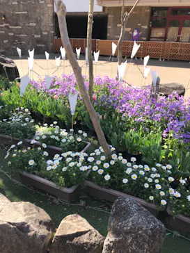 ひらかたパークに投稿された画像（2022/4/1）