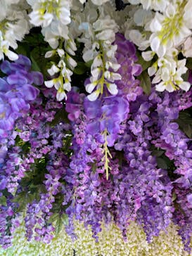 東京サマーランドに投稿された画像（2022/4/1）