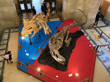 国立科学博物館　特別企画展「ポケモン化石博物館」に投稿された画像（2022/4/1）