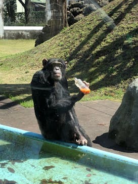 阿蘇カドリー・ドミニオンに投稿された画像（2022/4/1）