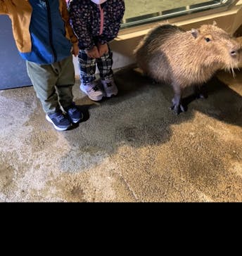 マクセル アクアパーク品川に投稿された画像（2022/4/1）