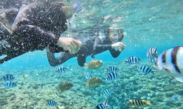 青の洞窟専門店　沖縄ダイビングショップ和に投稿された画像（2022/4/1）