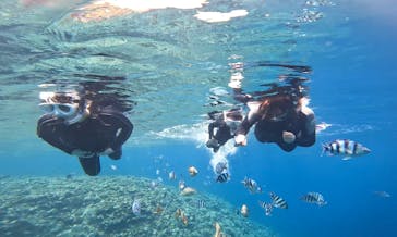 青の洞窟専門店　沖縄ダイビングショップ和に投稿された画像（2022/4/1）