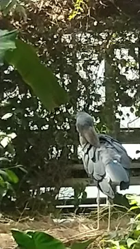 神戸どうぶつ王国に投稿された画像（2022/4/1）