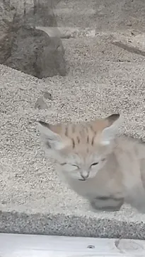 神戸どうぶつ王国に投稿された画像（2022/4/1）