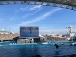 名古屋港水族館に投稿された画像（2022/4/1）