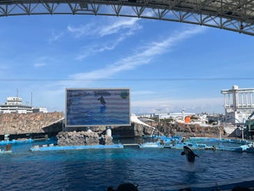 名古屋港水族館に投稿された画像（2022/4/1）