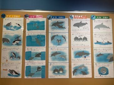 名古屋港水族館に投稿された画像（2022/4/1）