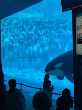 名古屋港水族館に投稿された画像（2022/4/1）