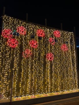 さがみ湖MORI MORIに投稿された画像（2022/4/1）