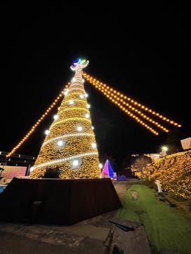 さがみ湖MORI MORIに投稿された画像（2022/4/1）