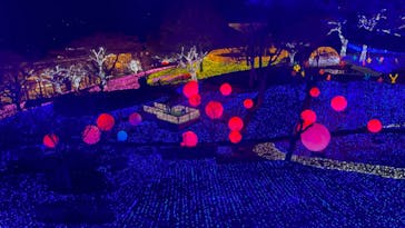 さがみ湖MORI MORIに投稿された画像（2022/4/1）