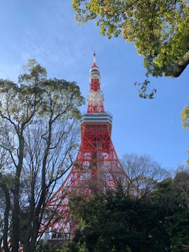 東京タワーに投稿された画像（2022/4/1）