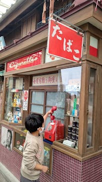 西武園ゆうえんちに投稿された画像（2022/4/1）