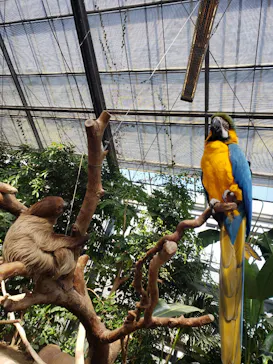 神戸どうぶつ王国に投稿された画像（2022/4/1）