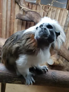 神戸どうぶつ王国に投稿された画像（2022/4/1）