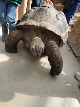 神戸どうぶつ王国に投稿された画像（2022/4/1）