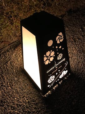 NAKED FLOWERS 2022 -桜- 世界遺産・二条城に投稿された画像（2022/4/1）