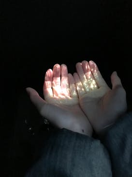 NAKED FLOWERS 2022 -桜- 世界遺産・二条城に投稿された画像（2022/4/1）