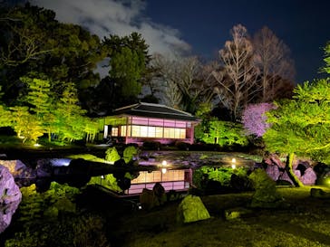 NAKED FLOWERS 2022 -桜- 世界遺産・二条城に投稿された画像（2022/4/1）