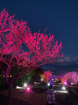 せんだい農業園芸センター　みどりの杜に投稿された画像（2022/4/1）