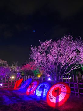 せんだい農業園芸センター　みどりの杜に投稿された画像（2022/4/1）