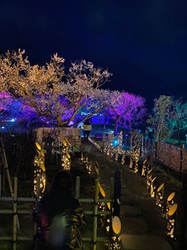 せんだい農業園芸センター　みどりの杜に投稿された画像（2022/4/1）