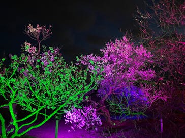 せんだい農業園芸センター　みどりの杜に投稿された画像（2022/4/1）